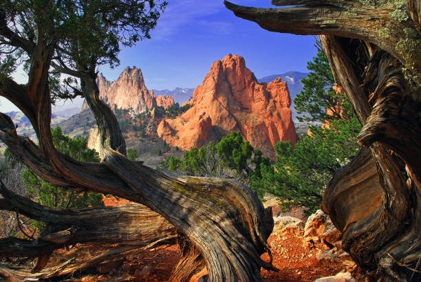 Roofing services in Colorado Springs, CO